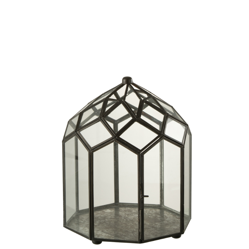 TERRARIUM VERRE /METAL NOIR S