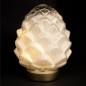 DECO LED PIGNE PIN BLC D14H19