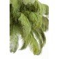 Suspension plume - Vert - Ø80cm