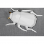INSECTE RESINE BLANC MAT/GOLD PM 20CM