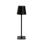 LAMPE LED S/FIL NOIRE 10,5XH36CM - ANDREA